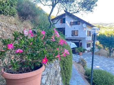 Foto Appartamento a Fosdinovo di 219 m² con 9 locali in vendita