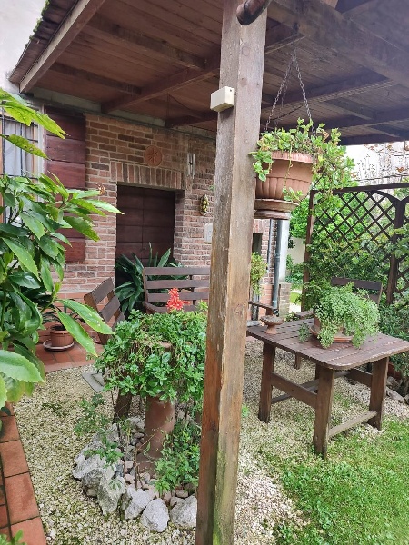 immagine annuncio 2 di 12