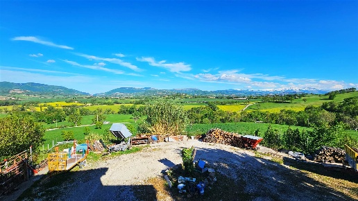 immagine annuncio 4 di 13