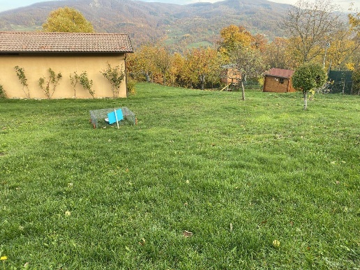 immagine annuncio 2 di 9