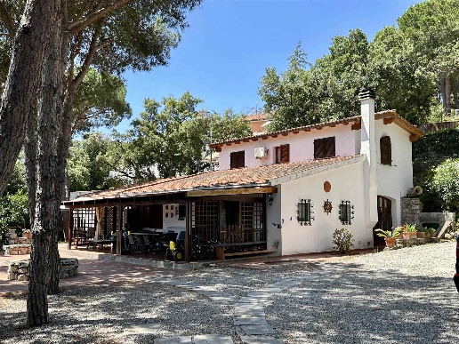 immagine annuncio 0 di 15