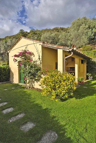 immagine annuncio 11 di 15