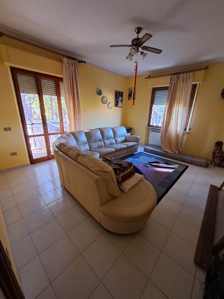 immagine annuncio 10 di 13