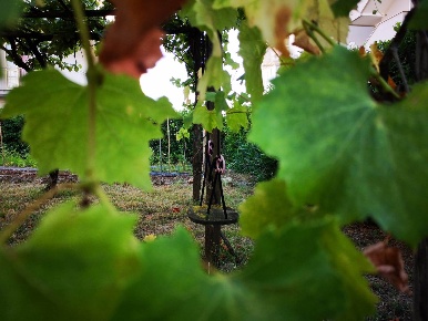 Foto Appartamento a San Cipriano Picentino in vendita