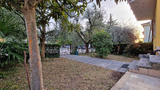 immagine annuncio 10 di 14