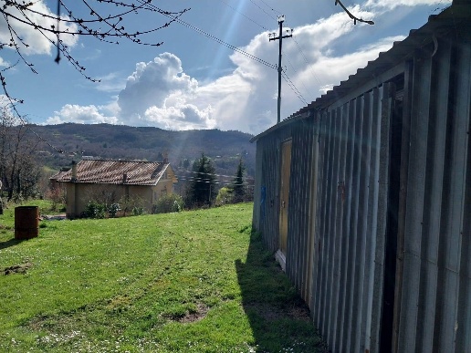 immagine annuncio 3 di 14