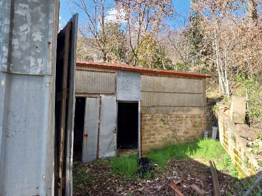 immagine annuncio 9 di 14