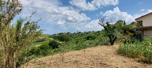 immagine annuncio 4 di 6