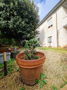 Foto Villa a schiera a Crespina Lorenzana di 300 m² con 10 locali