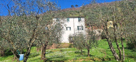 Foto Appartamento a Borgo a Mozzano di 120 m² con 5 locali in vendita