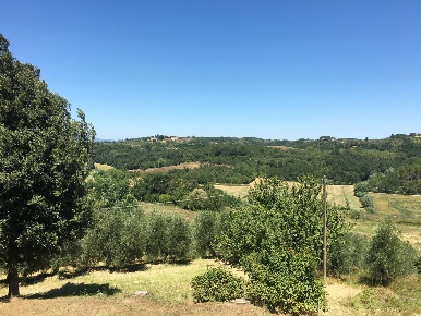 Foto Appartamento a Palaia di 450 m² con 10 locali in vendita