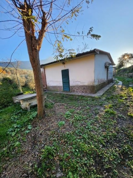 immagine annuncio 2 di 8