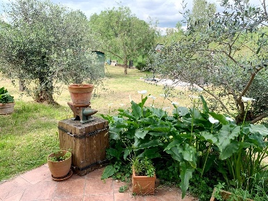 Foto Appartamento a Ameglia in vendita