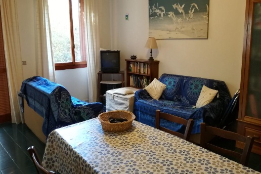 immagine annuncio 6 di 13