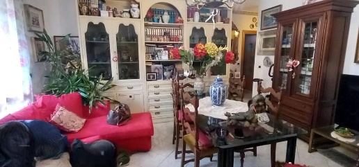 Foto Appartamento a Fosdinovo di 100 m² con 5 locali in vendita