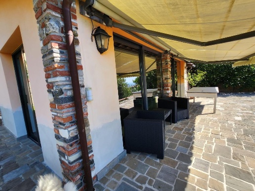 immagine annuncio 11 di 14