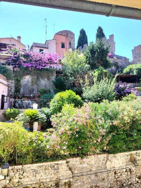 immagine annuncio 4 di 12
