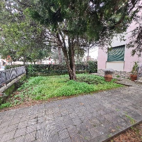 Foto Villa unifamiliare a Capannoli di 367 m² con 15 locali in vendita
