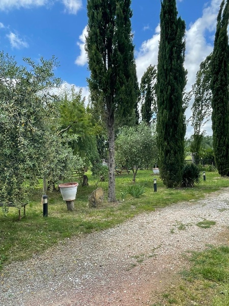 immagine annuncio 11 di 14