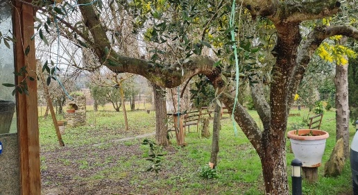 immagine annuncio 13 di 14
