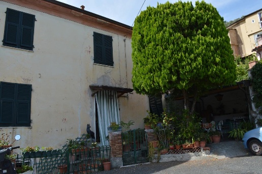 immagine annuncio 4 di 14