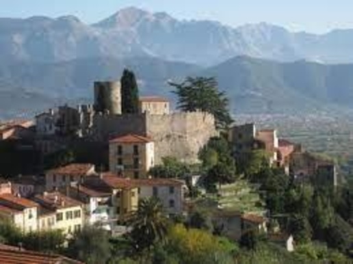 immagine annuncio 9 di 14