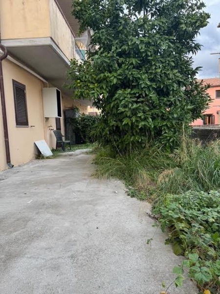 immagine annuncio 4 di 14