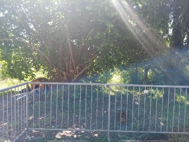 Foto Appartamento a Licciana Nardi di 80 m² con 4 locali in vendita