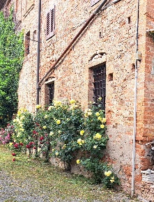 Foto Appartamento a Peccioli di 200 m² con 8 locali in vendita