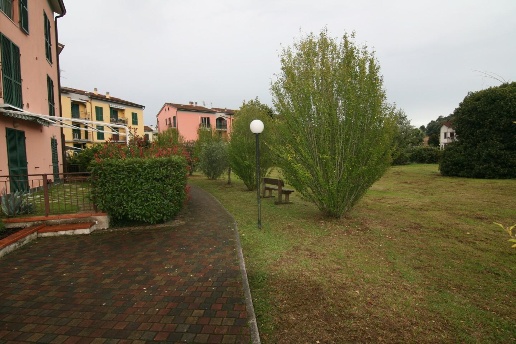 immagine annuncio 9 di 14