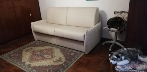 immagine annuncio 8 di 11