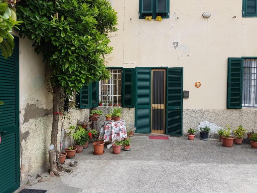 immagine annuncio 1 di 14