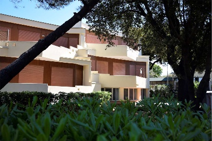 Foto Appartamento a San Vincenzo in affitto