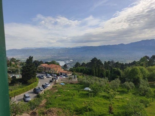 immagine annuncio 2 di 12