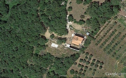 immagine annuncio 3 di 6