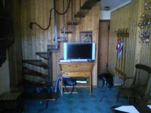 immagine annuncio 4 di 12