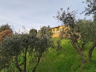 Foto Casa indipendente a Palaia di 200 m² con 7 locali in vendita