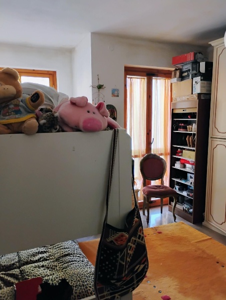 immagine annuncio 7 di 13