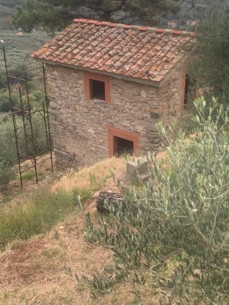 immagine annuncio 12 di 15