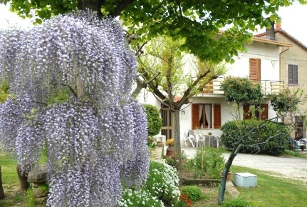 Foto Appartamento a Panicale di 100 m² con 6 locali in vendita