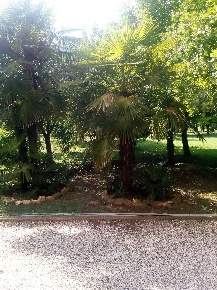 Foto Appartamento in VIA MUZZIOLI, Ravarino di 540 m² con 8 locali