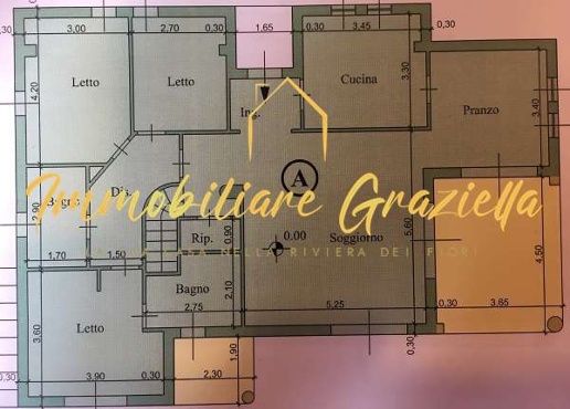 immagine annuncio 12 di 13