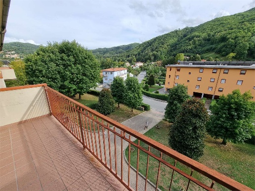 immagine annuncio 6 di 14