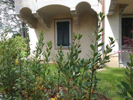 immagine annuncio 4 di 14