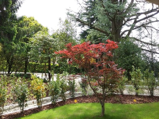 immagine annuncio 5 di 14