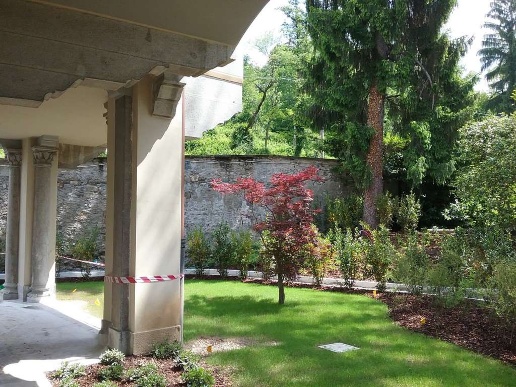 immagine annuncio 6 di 14