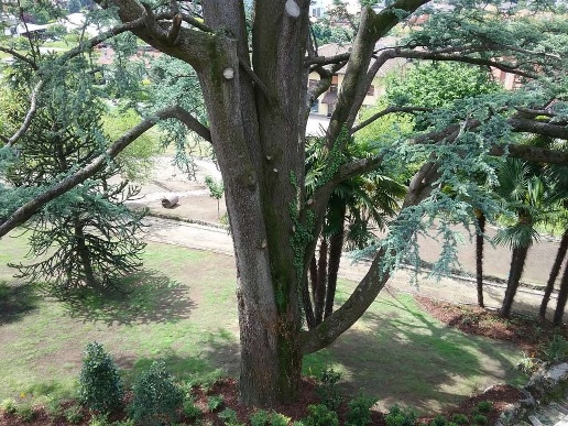 immagine annuncio 10 di 14