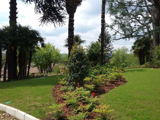 immagine annuncio 12 di 14