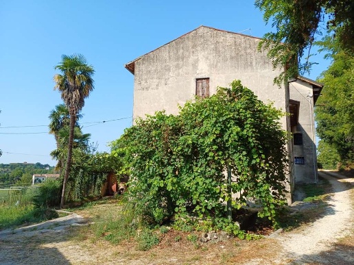 immagine annuncio 3 di 11