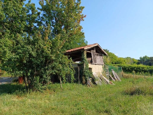 immagine annuncio 4 di 11